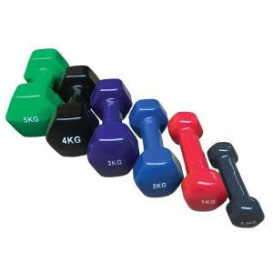 Vinyl Dumbbell (per kg)